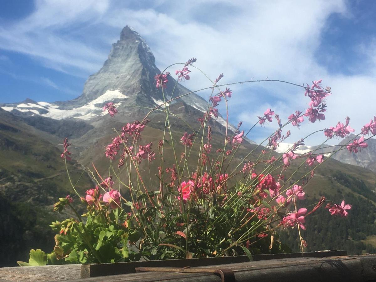 Apartment Samira Zermatt Kültér fotó